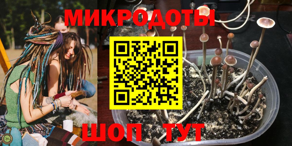 Симферополь  Псилоцибиновые грибы мицелий  Вход с VPN 